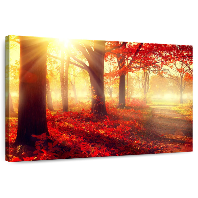 Harnek Sunny Fall Forest, 32" H x 48" W