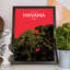 Havana City Map - No Frame Print-1282279160