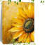 1 Piece Wrapped Canvas Wall Art