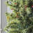 606'' String Lights-31889554