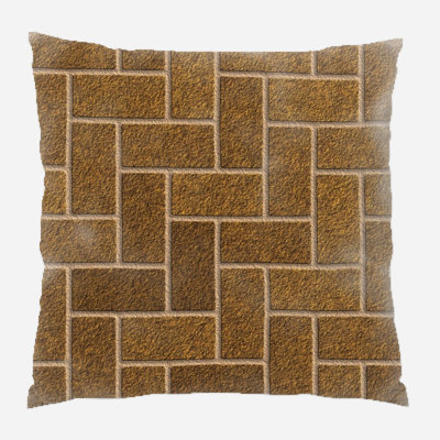 Coussin décoratif