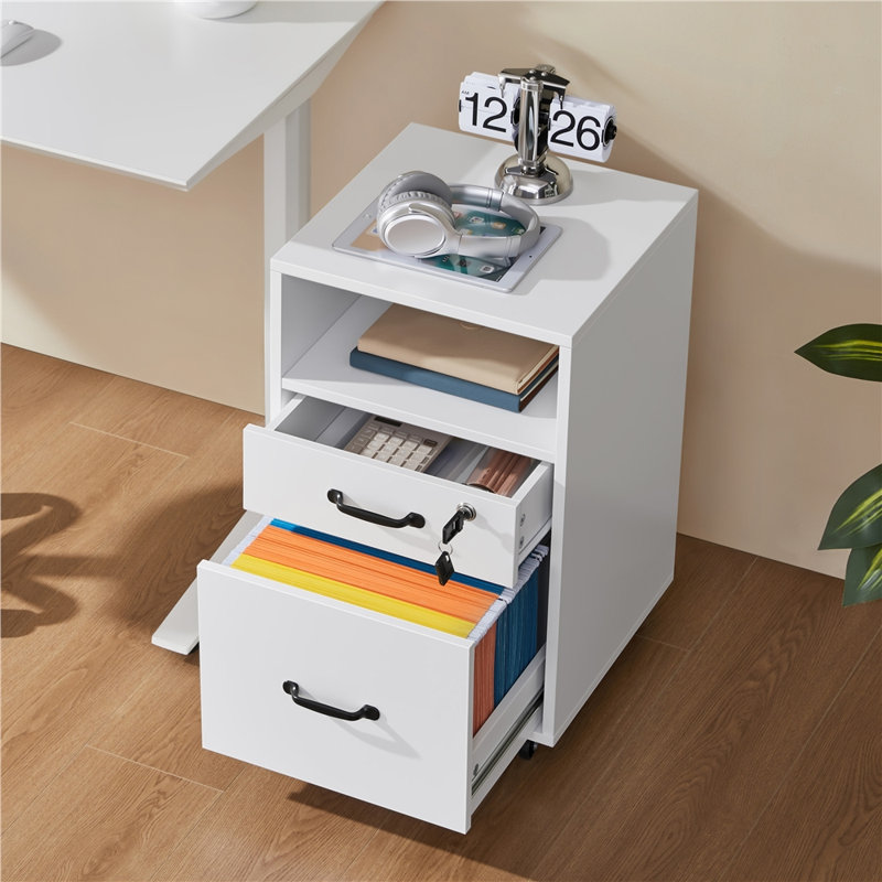 Elisbeth 16'' Wide 2 -Drawer Mobile File Cabinet, White