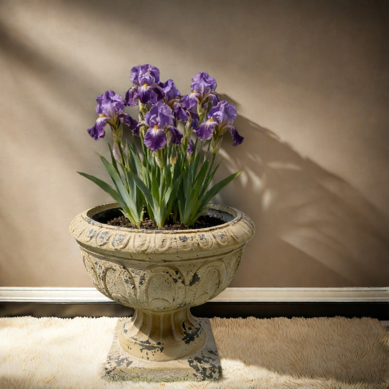 Décoration de jardin rustique blanche durable, décoration de jardin rustique