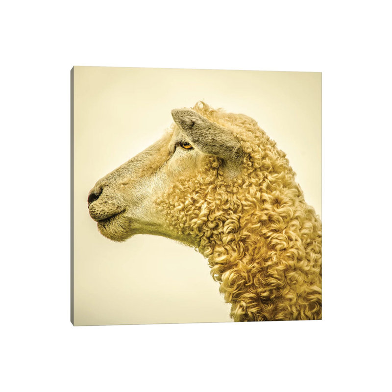 « Curly II » par Mark Gemmell-impression d’art graphique, Pas de tapis, Toile tendue, H 12 po x l 12 po x P 0,75 po