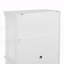 Accent Cabinet-1023280432
