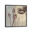 «Chocolate Poppy», impression sur toile tendue-20831409-73087393-73087394