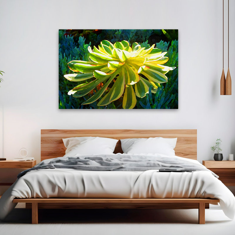 Plantes, fleurs, abstrait, paysage, nature, soleil levant, art mural, H 40 po x l 60 po