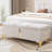 Zeger Upholstered Storage Bench-1138932771