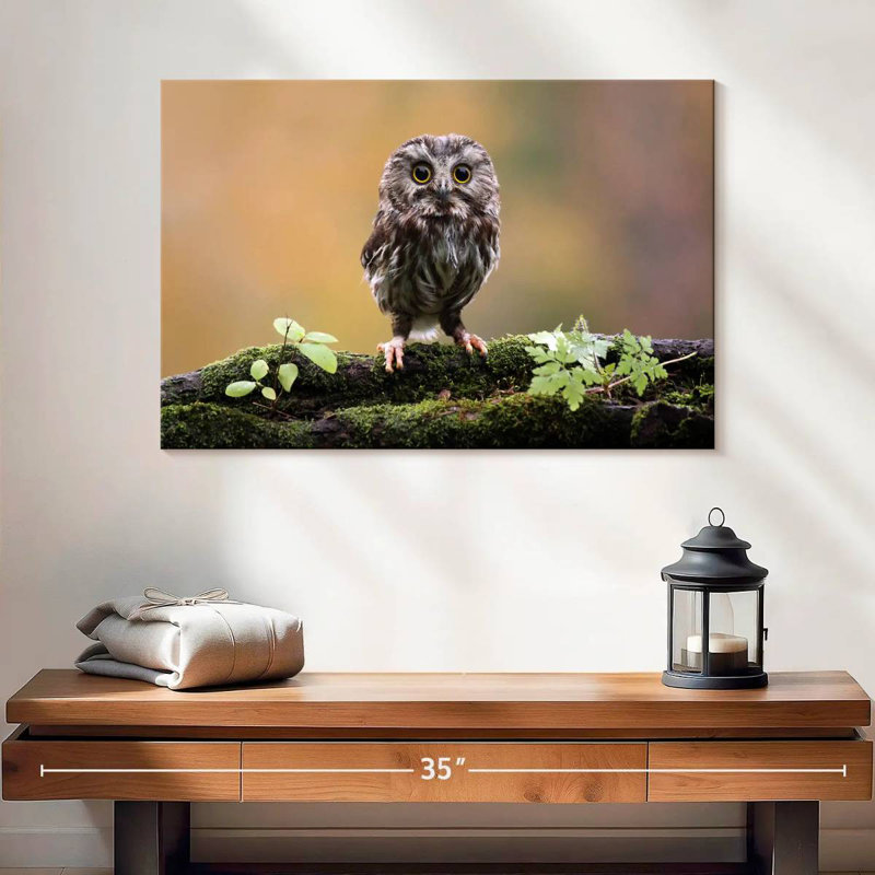 Charming Little Owl, 16" H x 24" W