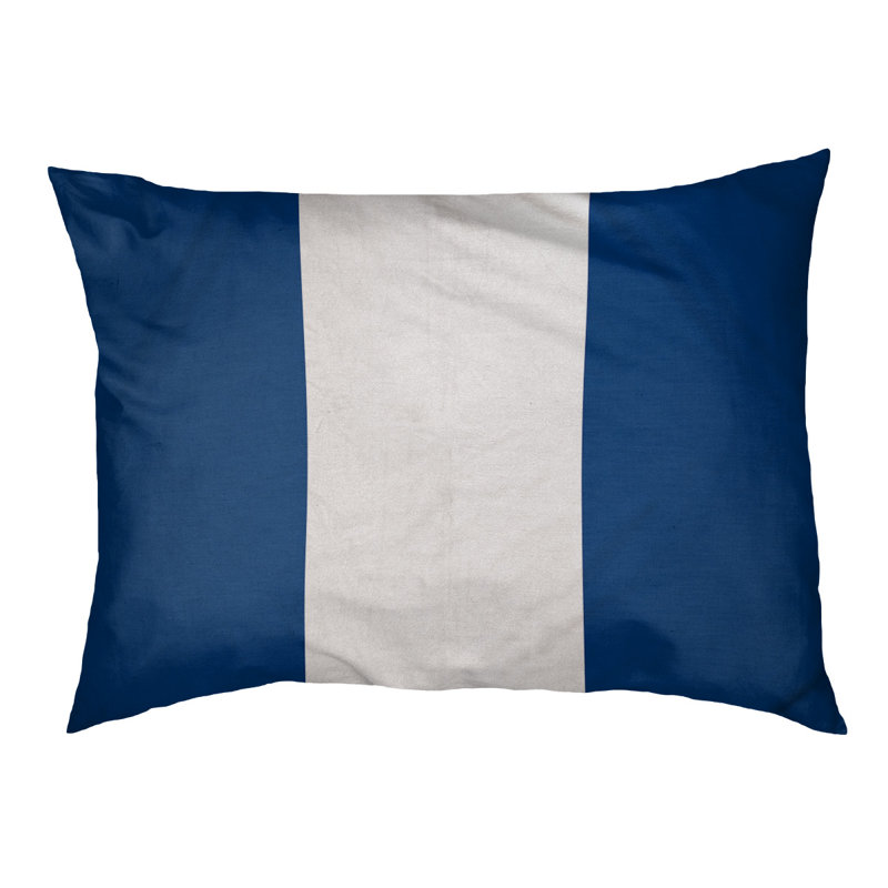 Coussin Designer, Petit (L 18 po x l 28 po), Bleu / blanc