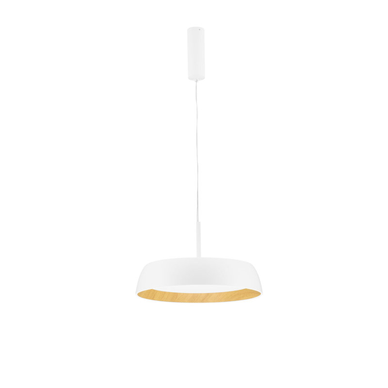 - Light Pendant