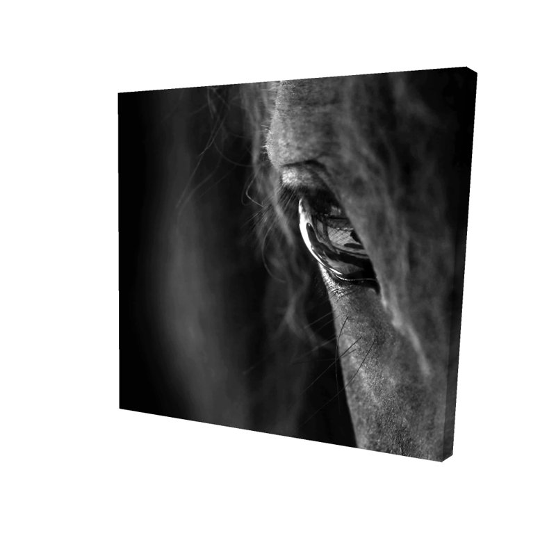 «Black Horse», art sur toile rustique | Décoration de salon, H 24 po x l 24 po