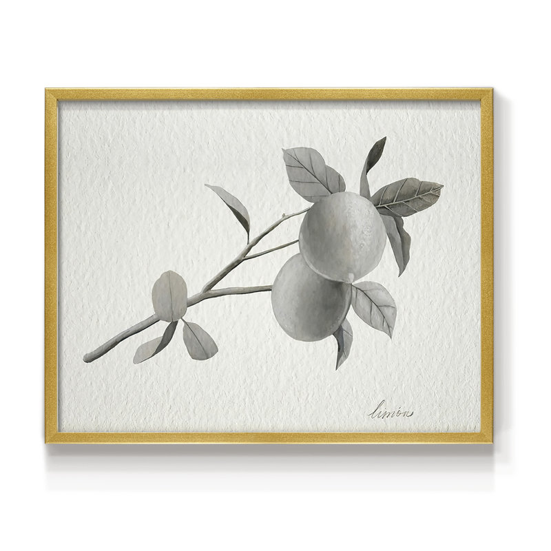 Limonero II -Framed Print - Restickable, 22" H x 28" W