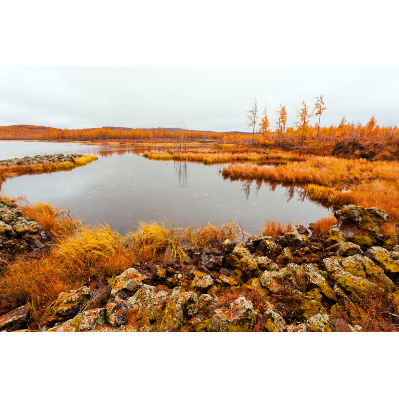 Autumn Landscape by Fzant - No Frame Art Prints on Canvas, 51cm H x 76cm W