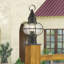 Aster Transparent Lantern Head-1606869822