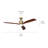 Ridley 60'' Ceiling Fan with LED Lights-82941945