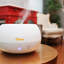 0.2 Gal. 2-in-1 Ultrasonic Cool Mist Humidifier & Aroma Diffuser for Small Rooms