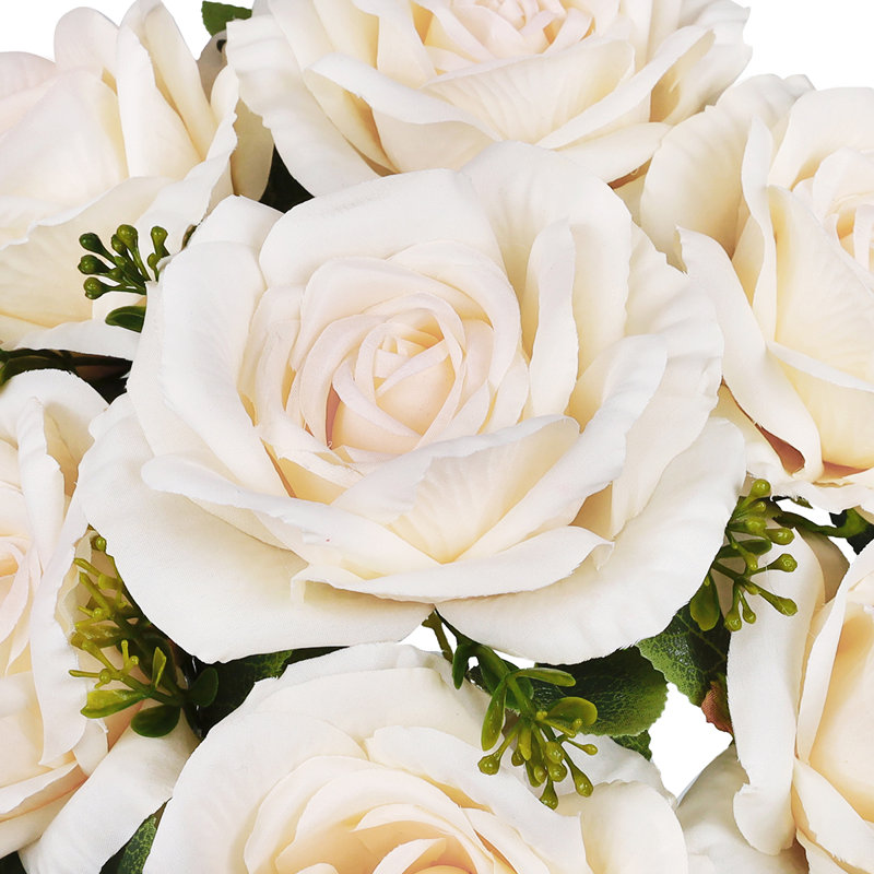 Doux rosier, Ivory