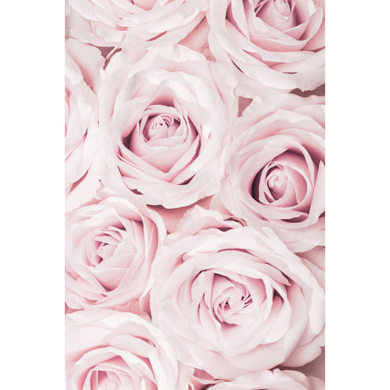 Wrapped Canvas Print, 50.8cm H x 76.2cm W