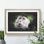 Macaque Monkey - Picture Frame Graphic Art-62802278-62802279