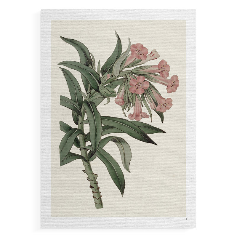 Mélange de fleurs roses VI - impression sur toile seulement - non encadrée, H 18 po x l 12 po
