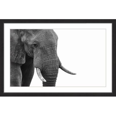 Single Picture Frame Print