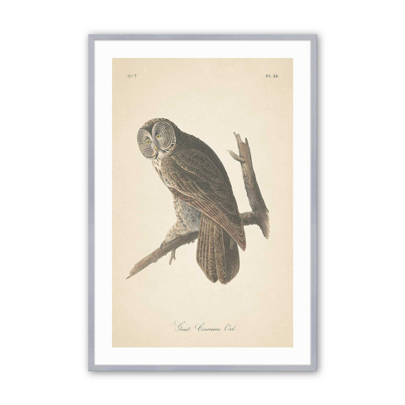Impression d'un hibou perché dans un, H 11,25 po x l 9,25 po x P 1,25 po, Cadre en chrome poli