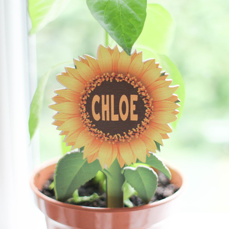 Jonasia Personalised Mini Sunflower Plant Label, Yes