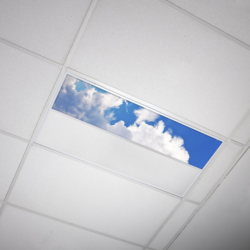 Cloud Rectangle Fixture Component Ceiling Light