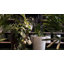 Pot à fleurs rond écologique ECOBO, utilisation intérieure / extérieure Vicenza, utilisation quatre saisons-38361596-38361597