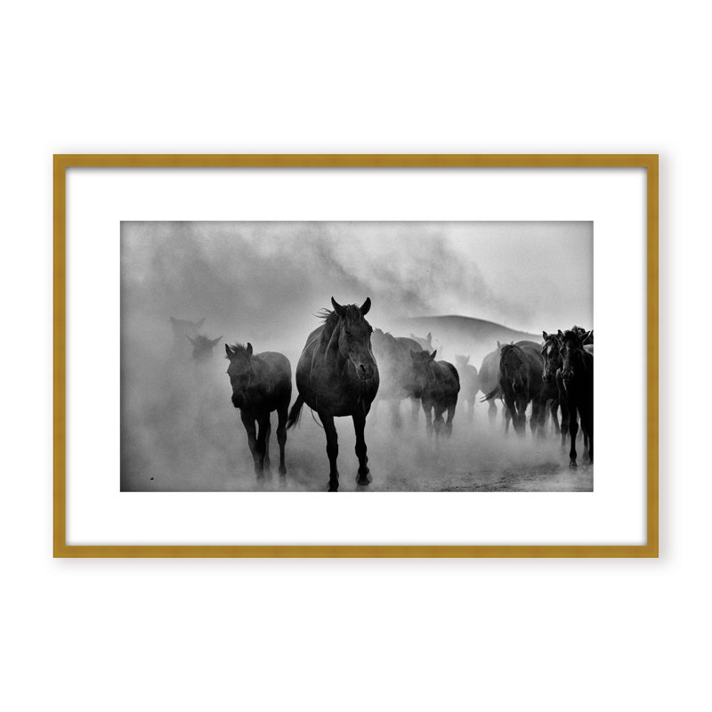 Nature Inspired Untitled by  - Picture Frame Photograph on Paper, 16" H x 24" W x 1.125" D, Black, Framed Matted Print