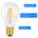 ClearAmbient LED E27 Glühbirne: A60 Vintage Edison Leuchtmittel 4W 2700K Warmweiß