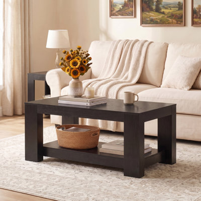 Mid-Century 2-Tier Center Table with Storage for Living Room