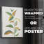 Touched with Sage I - Impression sur toile seulement - NON CADRE-117721284