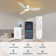 Jamarreon 42''/52'' Flush Mount Dimmable Ceiling Fan with LED Lights and Remote Control