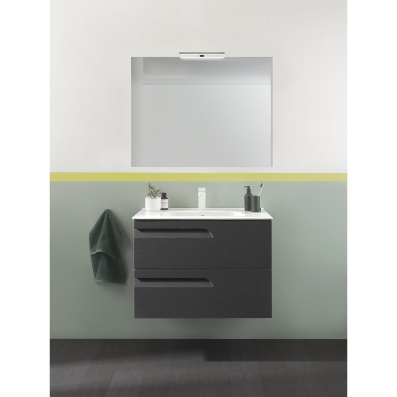 Alejandro 24'' Single Bathroom Vanity with Top, Nature Gray