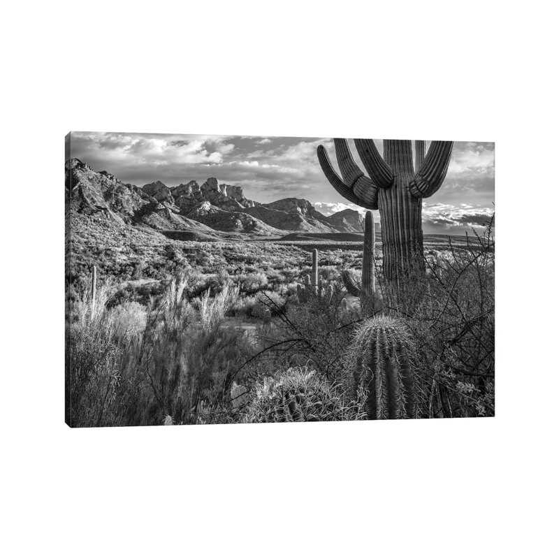 Barrel and Saguaro Cacti with the Santa Catalina Mountains, Catalina State Park, Arizona 1 Piece Wrapped Canvas Wall Art