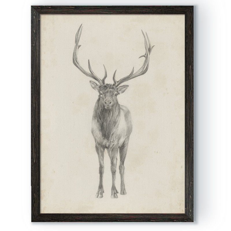 « elk study » par paul cezanne-photo-cadre, reproduction d’art, H 30 po x l 22 po x P 1,25 po