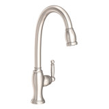 Nadya Single Handle Pull Down Kitchen Faucet