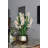 Orchids Arrangement in Basket-1348539233