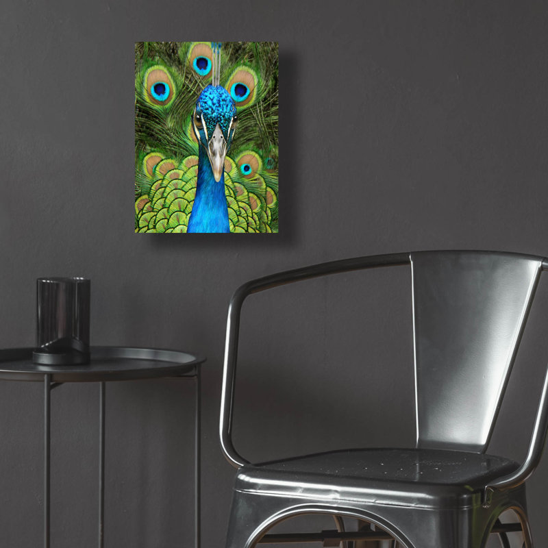 Art mural en verre Red Barrel Studio® «Peacock Face Bf» par Carol Cavalaris, H 16 po x l 12 po