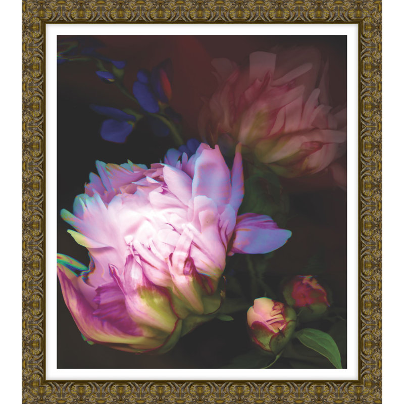 Peony Composition 1 Print, 50.3" H x 44.3" W