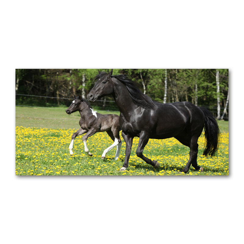 Mare With Foal - Wrapped Canvas Print