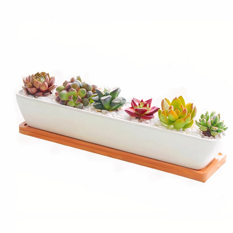 Sarah-Beth Pot Planter