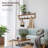 Mekhiya Bracket Shelf-1387670511