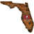 Tampa Bay Buccaneers