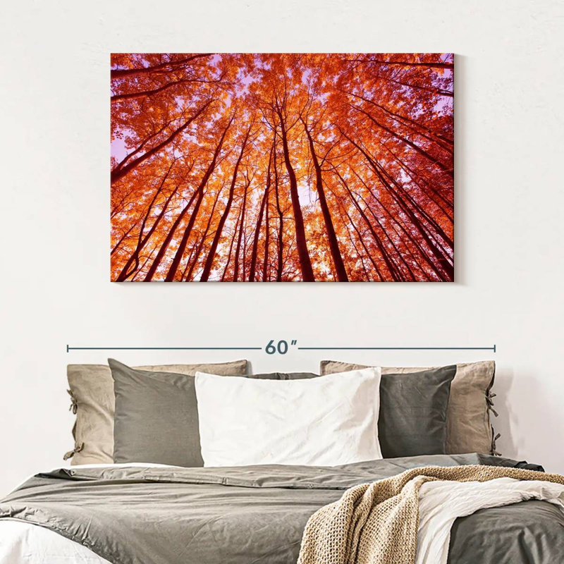 Alvord, forêt d'automne lumineuse, H 32 po x l 48 po