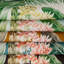 Mindoro Caluya Print Fabric-1786715503