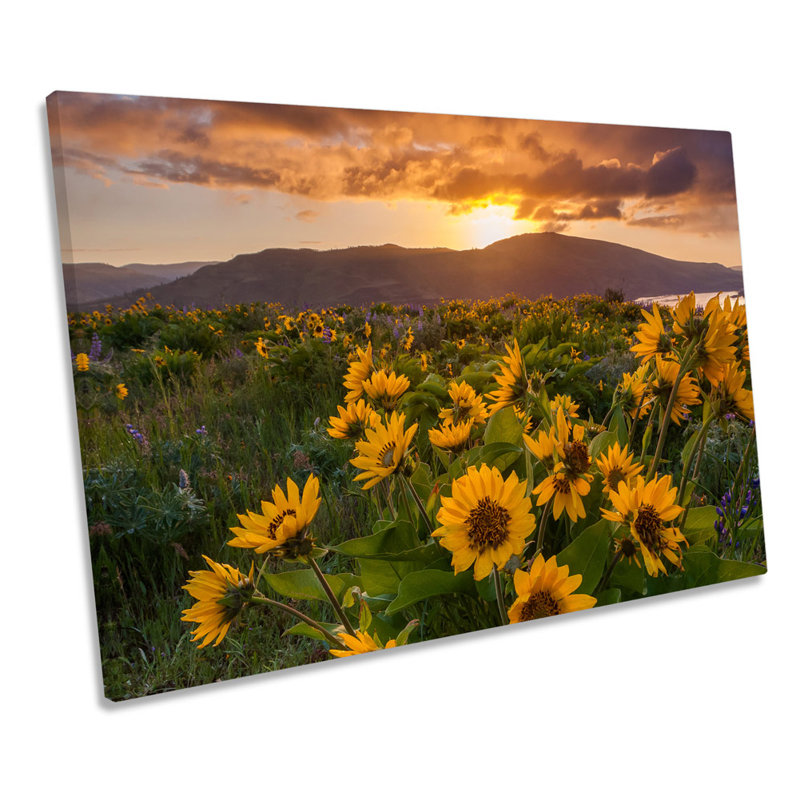 Wild Flowers Sunset Mountain - Wrapped Canvas Art Prints, 30.5cm H x 45.7cm W x 2cm D