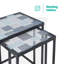 Kavic Glass Top Frame Nesting Tables